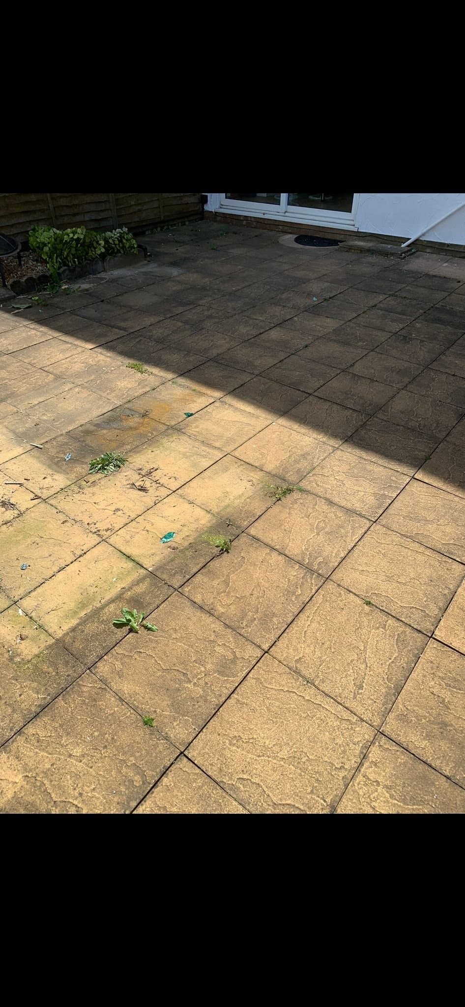 Tarmac Driveway before cleaning